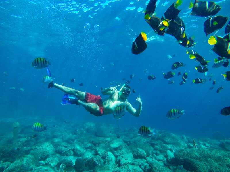 Cabo Catamaran Snorkel: Arch & Santa Maria, Open Bar, Snacks - Is $75 a fair price?