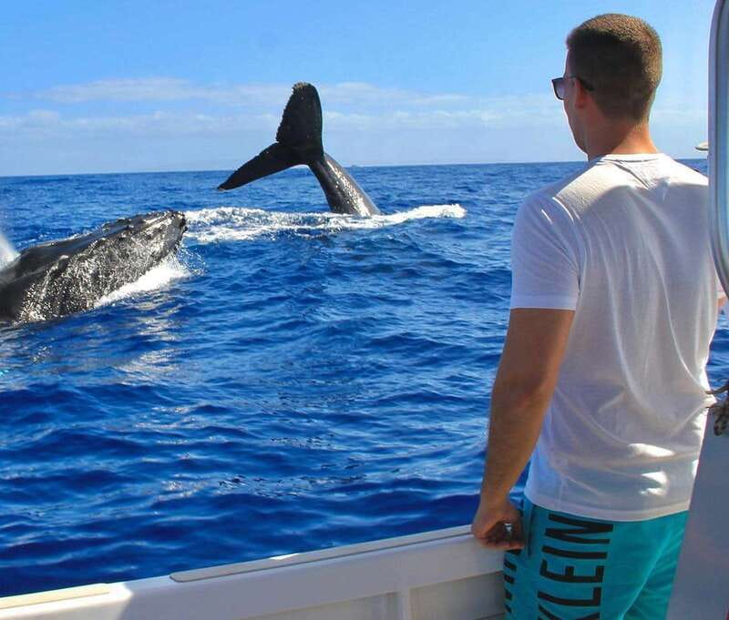 Cabo Catamaran Snorkel: Arch & Santa Maria, Open Bar, Snacks - Who will enjoy La Princesa Catamaran most?