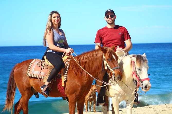 Cabo Desert Off-Road & Beach Horseback Combo and Tequila Tasting - From hotel pickup to Baja’s open trails