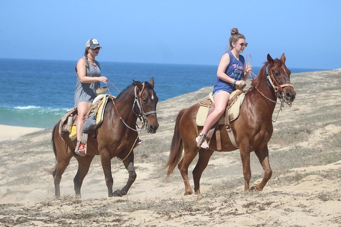 Cabo Desert Off-Road & Beach Horseback Combo and Tequila Tasting - Timing, comfort, and what to bring