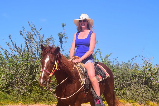 Cabo Desert Off-Road & Beach Horseback Combo and Tequila Tasting - Who should book this Cabo combo
