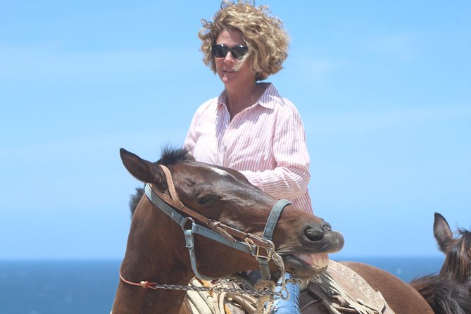 Cabo Desert Off-Road & Beach Horseback Combo and Tequila Tasting - Should you book it?