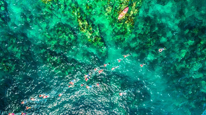 Cabo Escape Breakfast Snorkel Cruise - Is the $300 fare a good value?