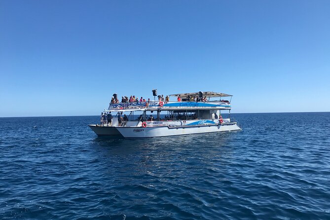 Cabo Escape Snorkel Fun Cruise - Chileno Beach and the snorkeling stop