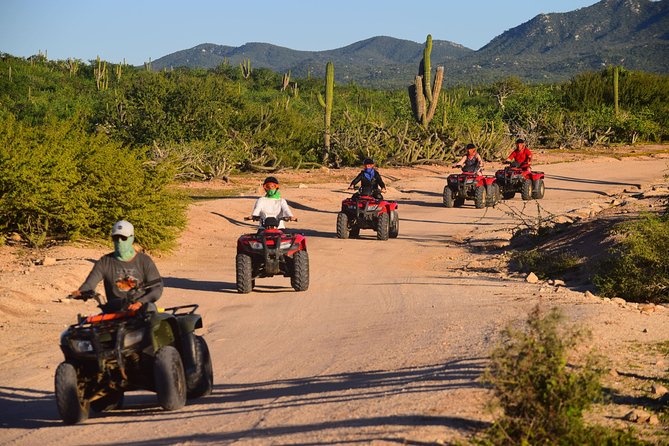Cabo Migrino Beach and Desert ATV Tour plus Tequila Tasting - What to wear and bring