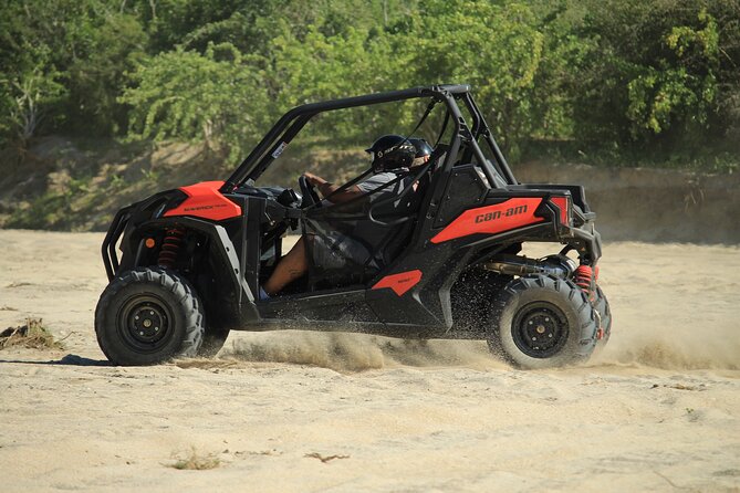 Cabo Migrino Beach & Desert UTV Tour and Tequila Tasting - Desert trails, cactus, and Baja plant life