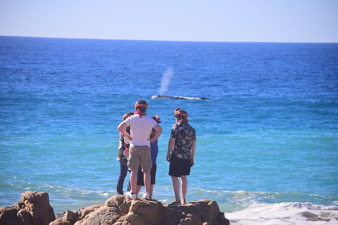 Cabo Original Real Baja 1000 Tour (Single ATV) - Beach riding and the best photo stops