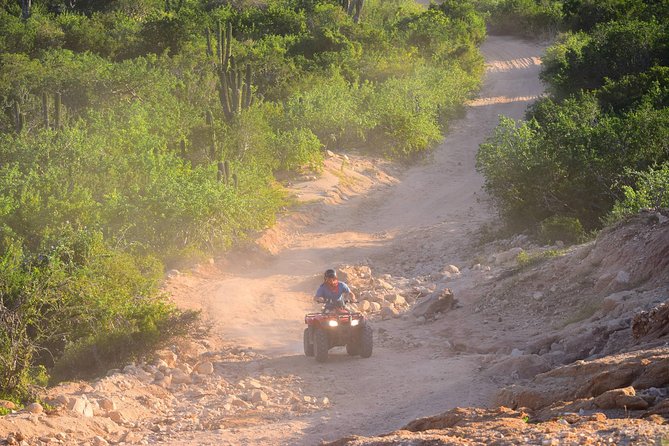 Cabo Original Real Baja 1000 Tour (Single ATV) - What the $210 price really covers
