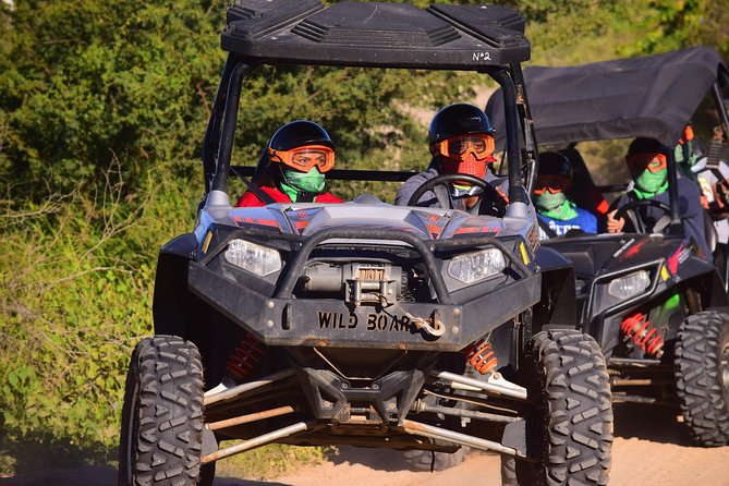 Cabo Original Real Baja 1000 Tour (UTV) - Who should book this Cabo excursion?