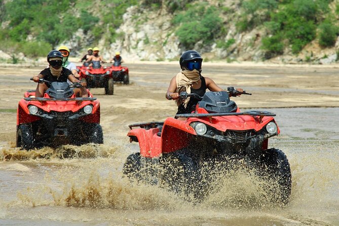 Cabo’s Best ATV Tour – Desert, Beach Ride & Tequila Tasting - What the tequila tasting is really like
