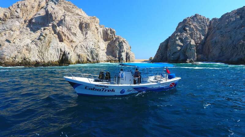 Cabo San Lucas: 2.5-Hour Whale Watching Tour - Who Will Enjoy This Boat Trip Most