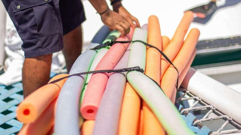Cabo San Lucas: 4-Hour Snorkeling Cruise with Open Bar - Who will enjoy this Pez Gato cruise most
