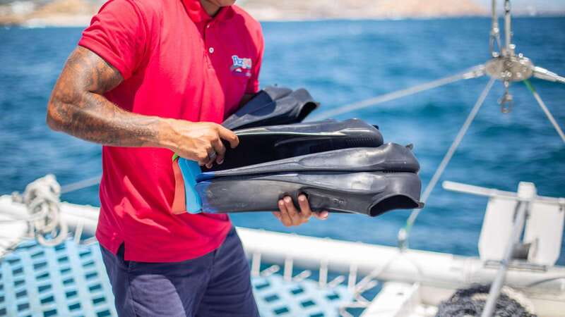 Cabo San Lucas: 4-Hour Snorkeling Cruise with Open Bar - Lunch is simple, filling, and included