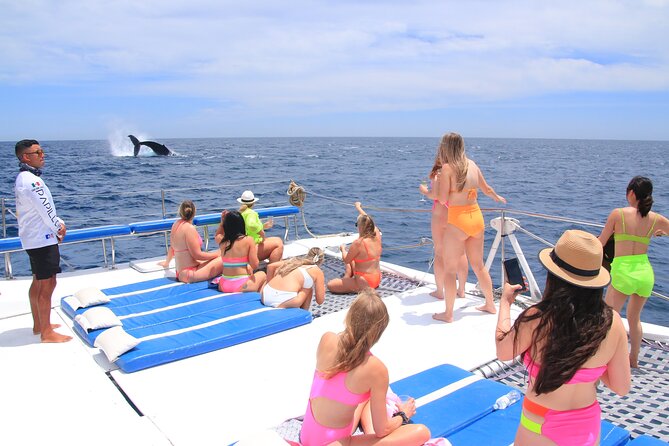 Cabo San Lucas All-Inclusive Private Catamaran Snorkeling Cruise - Lunch, snacks, and an open bar for the whole group