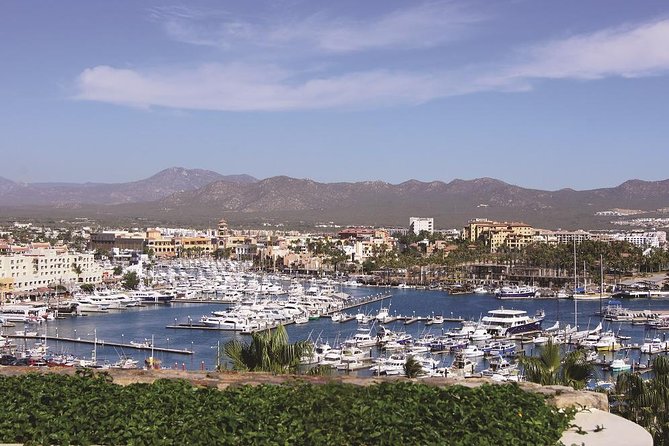 Cabo San Lucas and San Jose del Cabo Sightseeing Tour - Timing, comfort, and physical demands