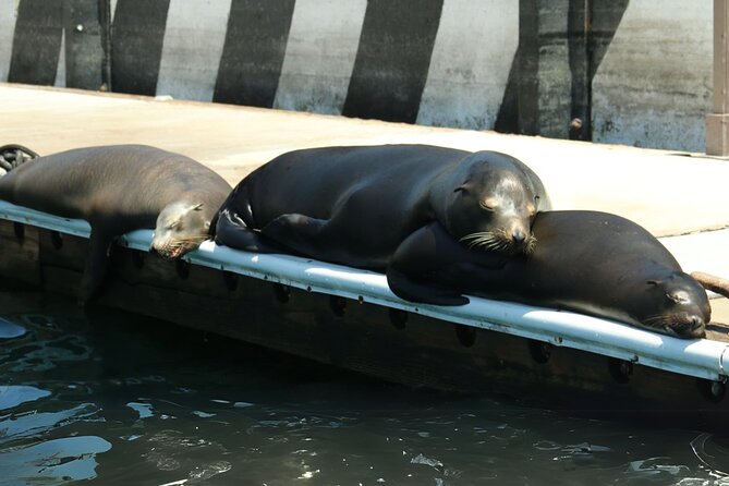 Cabo San Lucas Arc Group Tour in Glass Bottom Boat - Why this short Cabo cruise is worth considering