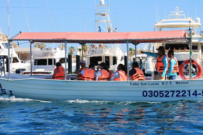 Cabo San Lucas Arc Group Tour in Glass Bottom Boat - What the glass bottom actually looks like
