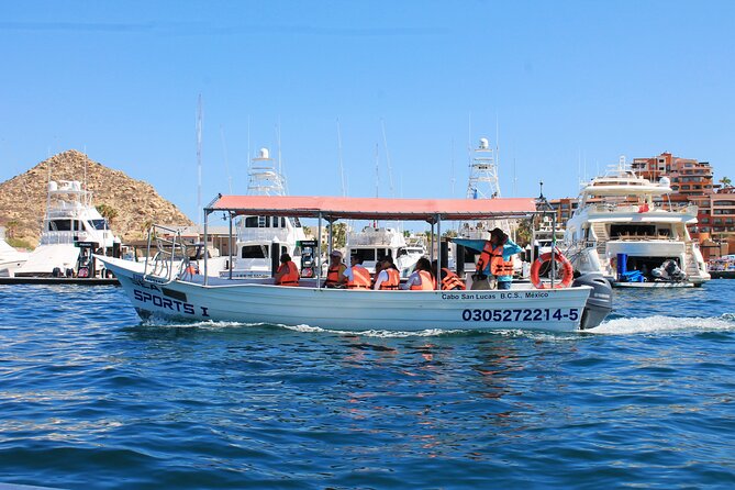 Cabo San Lucas Arc Group Tour in Glass Bottom Boat - Why the one-hour format works