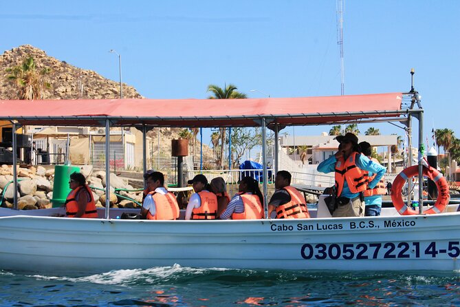 Cabo San Lucas Arc Group Tour in Glass Bottom Boat - Price, group size, and overall value