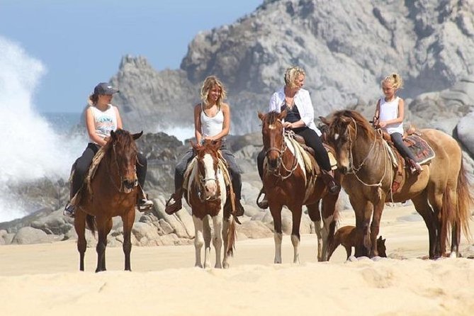 Cabo San Lucas Beach and Desert Horseback Ride - Shuttle pickup from Cabo