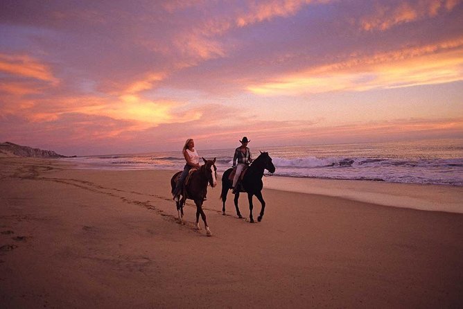 Cabo San Lucas Beach and Desert Horseback Ride - Who should book this ride