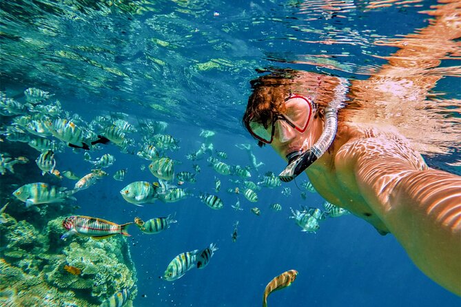 Cabo San Lucas Boat Tour with Snorkeling, Open Bar, and Lunch - Lunch is included, but keep expectations casual