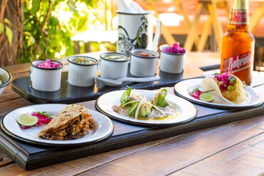 Cabo San Lucas: Cabo Foodie Grand Tour - Why this tour is a smart first taste of Cabo