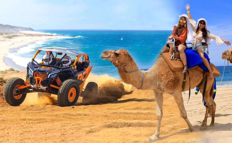 Cabo San Lucas: Camel Ride & Off-Road UTV Combo Adventure - A slow camel ride beside the Pacific