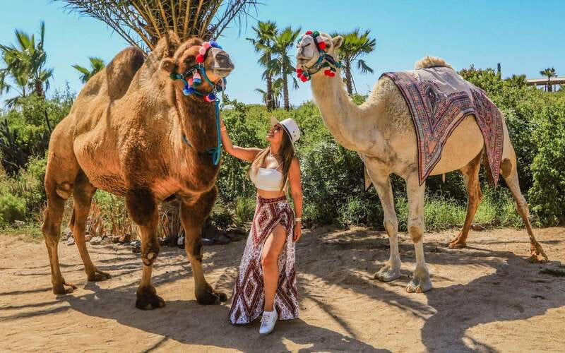 Cabo San Lucas: Camel Ride & Off-Road UTV Combo Adventure - The views are better than the photo policy