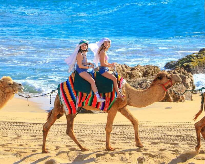 Cabo San Lucas: Camel Ride & Off-Road UTV Combo Adventure - My call: book it if you want variety