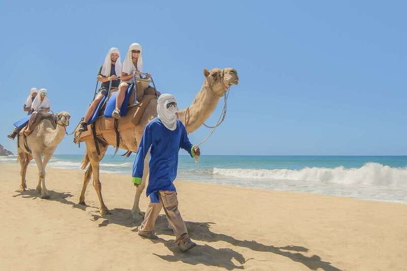 Cabo San Lucas: Camel Safari Tour with Lunch and Tequila - Key points at a glance