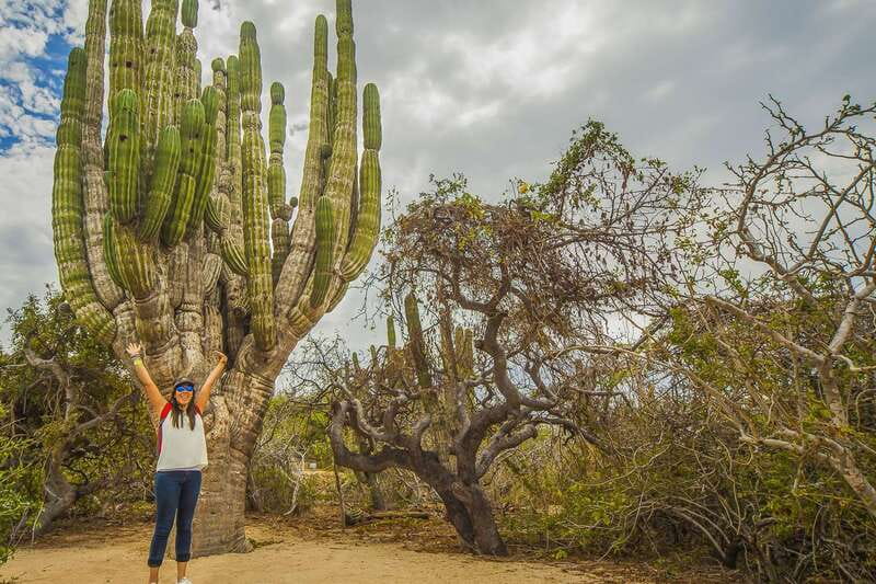 Cabo San Lucas: Camel Safari Tour with Lunch and Tequila - Should you book it?
