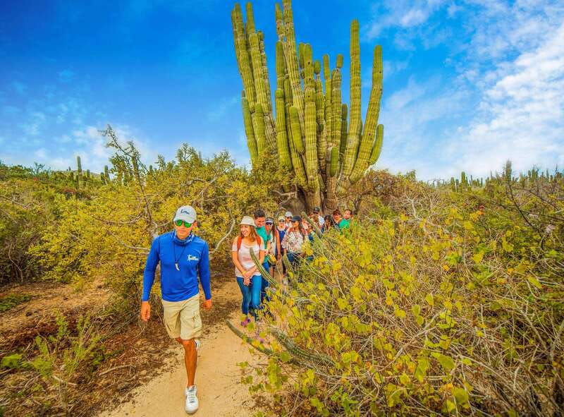Cabo San Lucas: Camel Safari Tour with Lunch and Tequila - Tortillas, tequila, and a proper lunch
