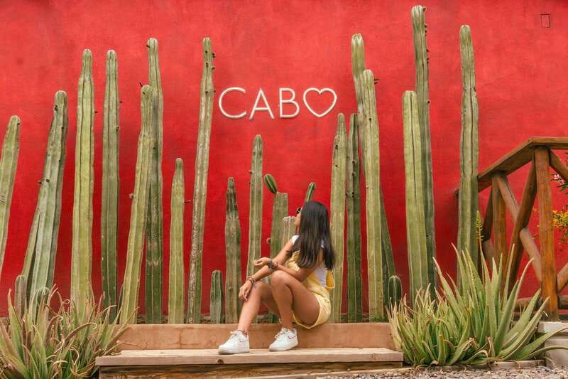 Cabo San Lucas: Camel Safari Tour with Lunch and Tequila - A short desert walk with useful context