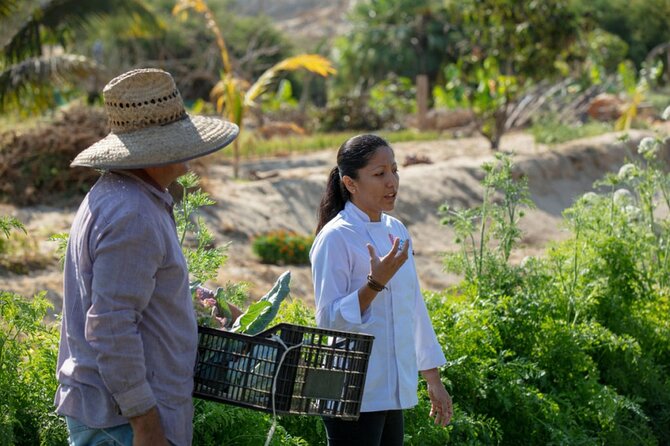 Cabo San Lucas Cooking Classes by Chef Ari - Getting to Casa Maya without stress