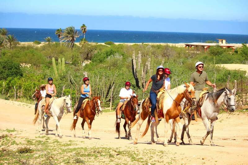 Cabo San Lucas: Horseback Riding in Migriño with Transfers - From Cabo hotels to Migriño’s Pacific coast