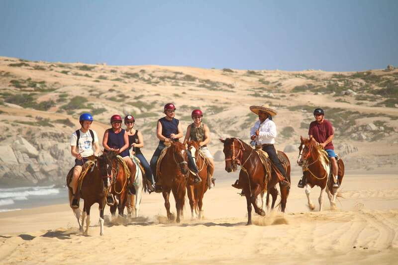 Cabo San Lucas: Horseback Riding in Migriño with Transfers - A coastal viewpoint and possible gray whales