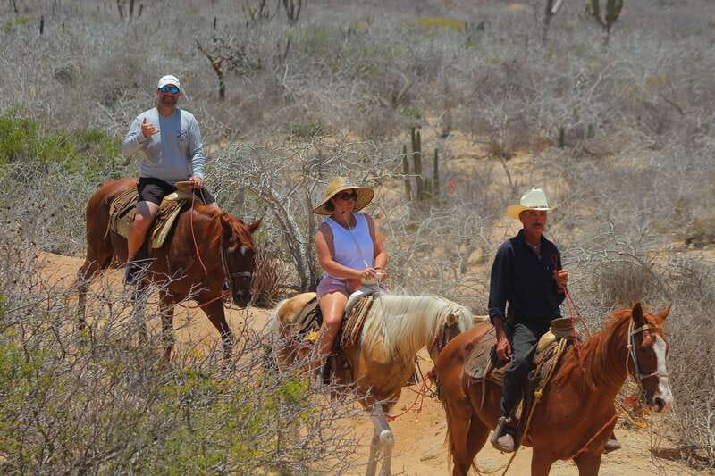 Cabo San Lucas: Horseback Riding in Migriño with Transfers - How much value do you get for $87?