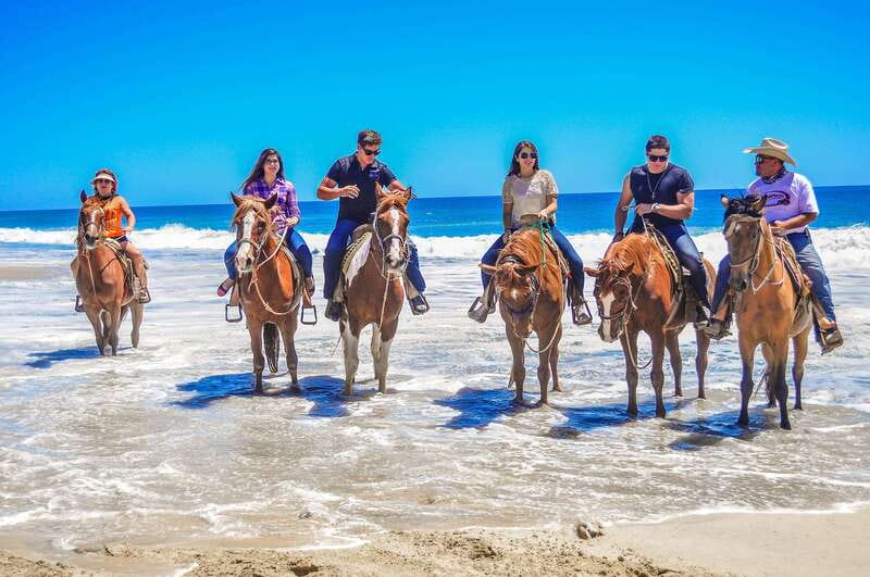 Cabo San Lucas: Horseback Riding in Migriño with Transfers - Guide style and group expectations