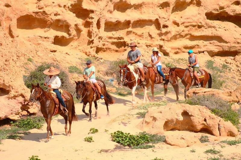 Cabo San Lucas: Horseback Riding in Migriño with Transfers - Booking advice for a comfortable ride