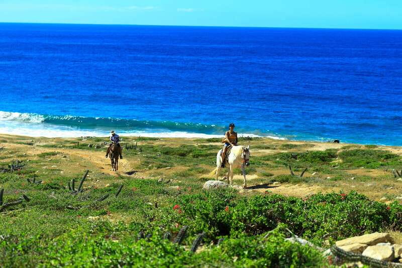 Cabo San Lucas: Horseback Riding in Migriño with Transfers - Saddle up with a calm horse