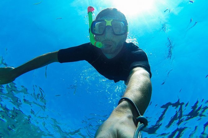 Cabo San Lucas Short Snorkeling Tour with Divemaster Guide - What the two-hour outing is really like