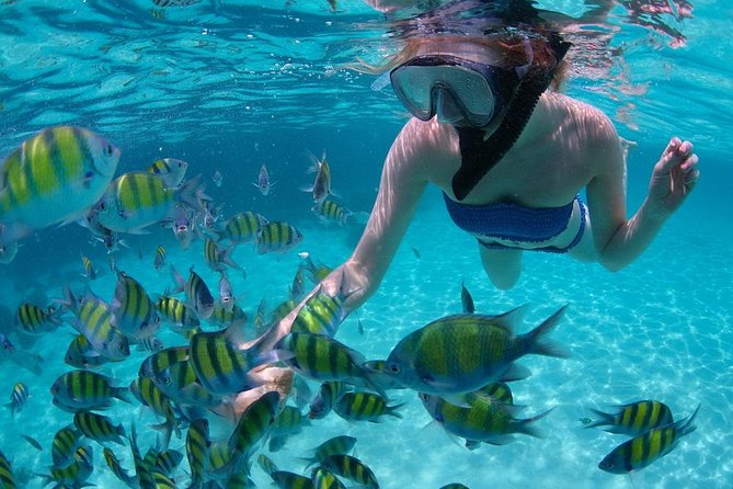 Cabo San Lucas Short Snorkeling Tour with Divemaster Guide - The Lands End cruise and Cabo’s famous sights