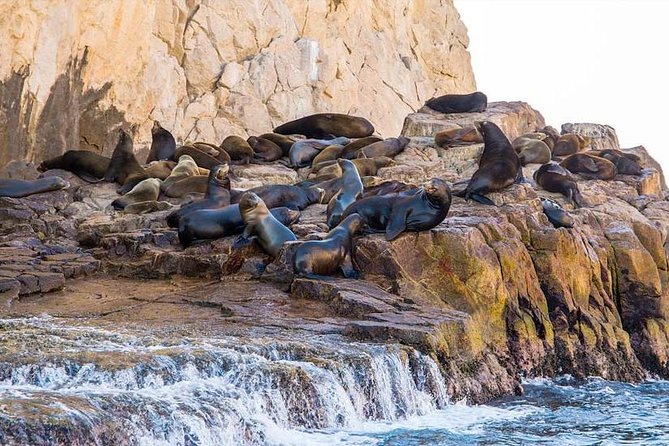 Cabo San Lucas sightseeing and Famous Arch tour - The downtown drive and local craft stops
