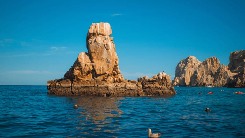 Cabo San Lucas: Tour paseo al Arco + bajada en playa - Key points to know before you book