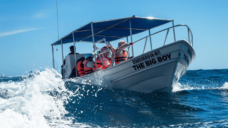 Cabo San Lucas: Tour paseo al Arco + bajada en playa - The Arch, Pirate Cave, and photo stop
