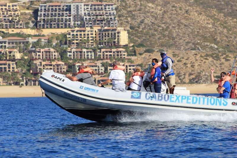 Cabo San Lucas: Up-Close Whale Watching Small-Group Tour - Why the Zodiac makes such a difference in Cabo