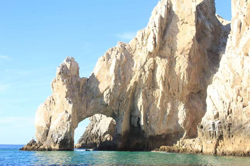 Cabo San Lucas: Up-Close Whale Watching Small-Group Tour - Reading a spout, splash, and breach