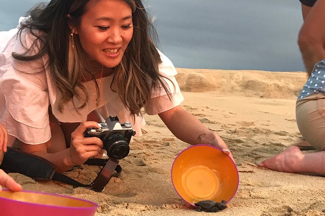 Cabo Turtle Release - What you learn about Olive Ridley turtles