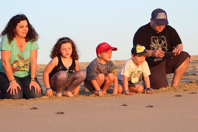 Cabo Turtle Release - A gentle outing for families